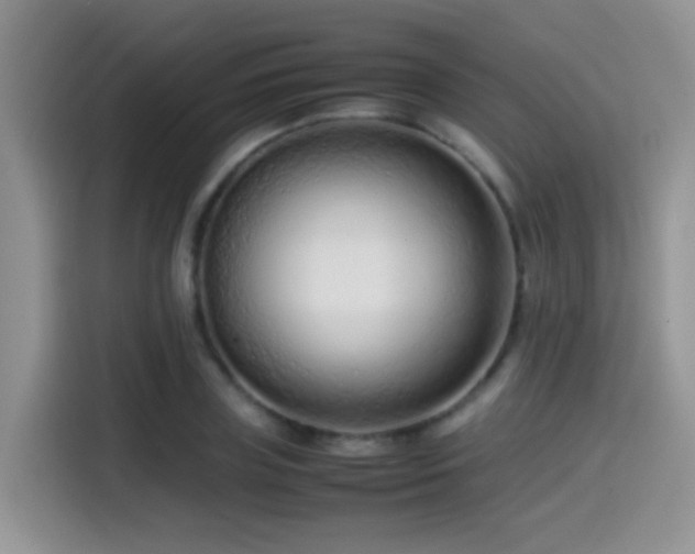 X0000115540835200911061458