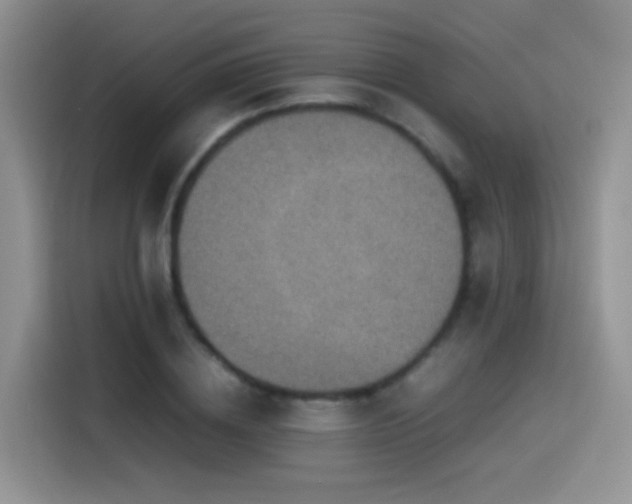 X0000115540836200911061458