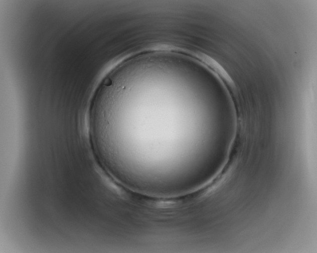 X0000115540839200911061458