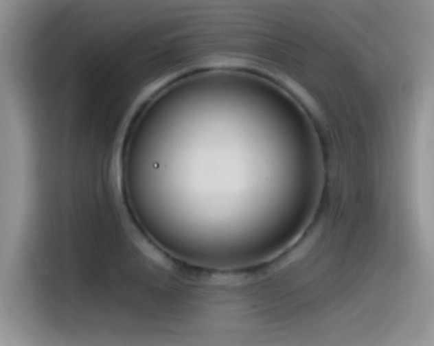 X0000115540840200911061458