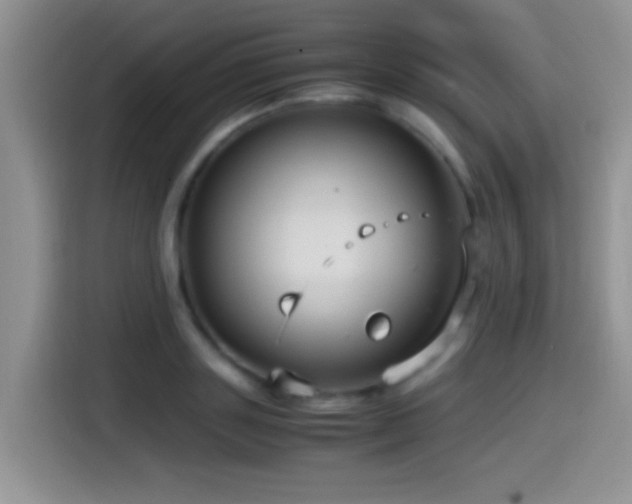 X0000115540843200911061458