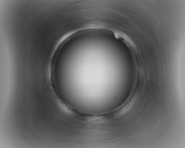 X0000115540846200911061458