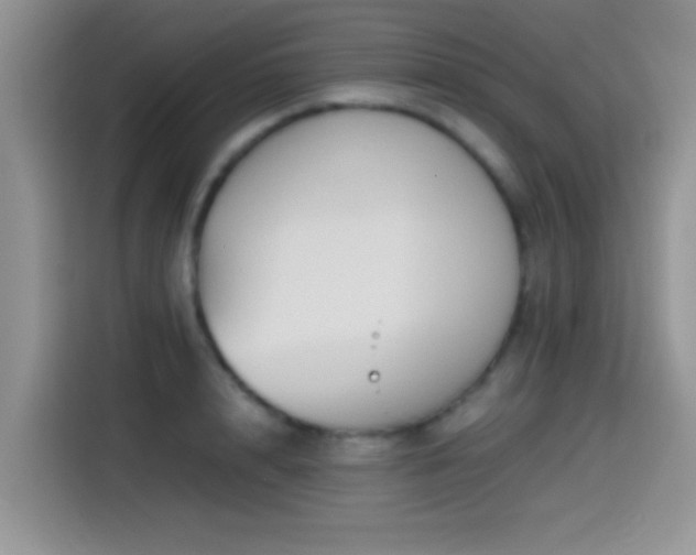 X0000115540848200911061459