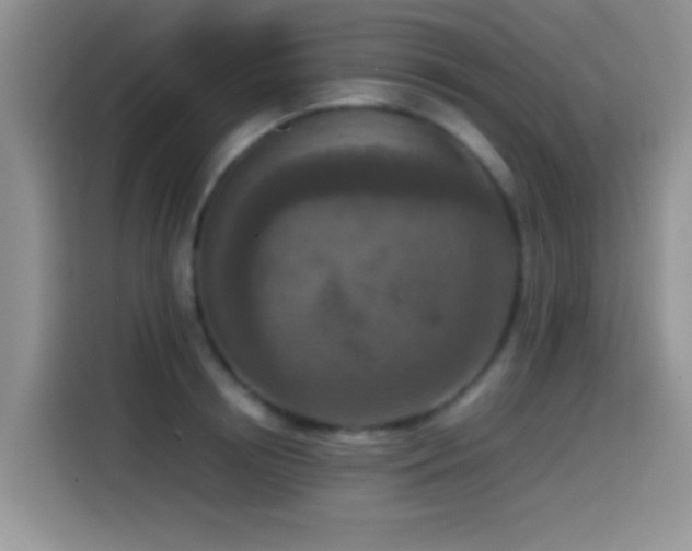 X0000115540850200911061459