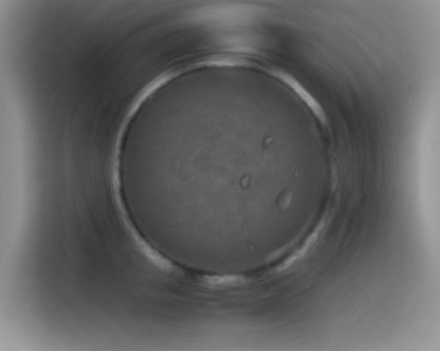 X0000115540853200911061459