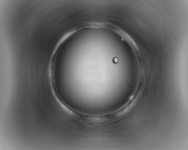 X0000115540855200911061459