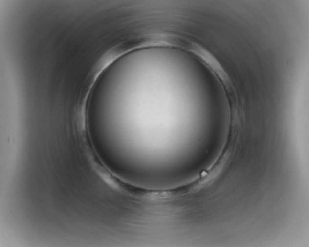 X0000115540858200911061459