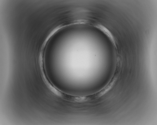 X0000115540859200911061459