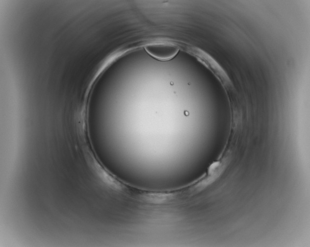 X0000115540860200911061459