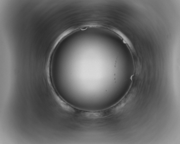 X0000115540861200911061459