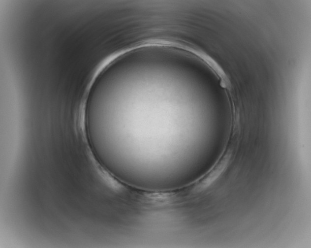 X0000115540862200911061459