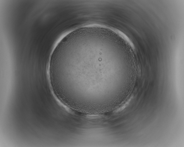 X0000115540863200911061459