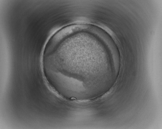 X0000115540864200911061459