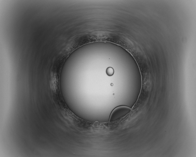 X0000115540866200911061458