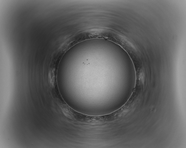 X0000115540868200911061458