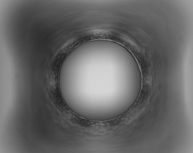 X0000115540869200911061458