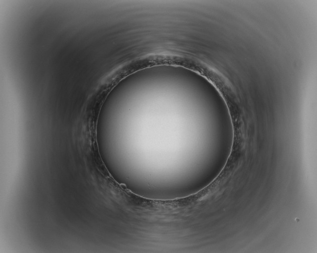 X0000115540870200911061458