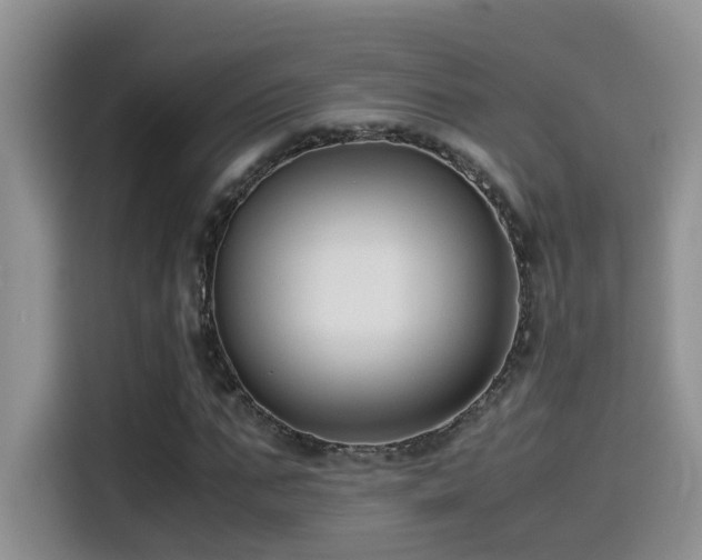 X0000115540871200911061458