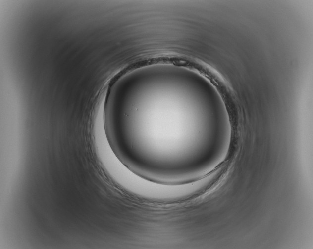 X0000115540873200911061458