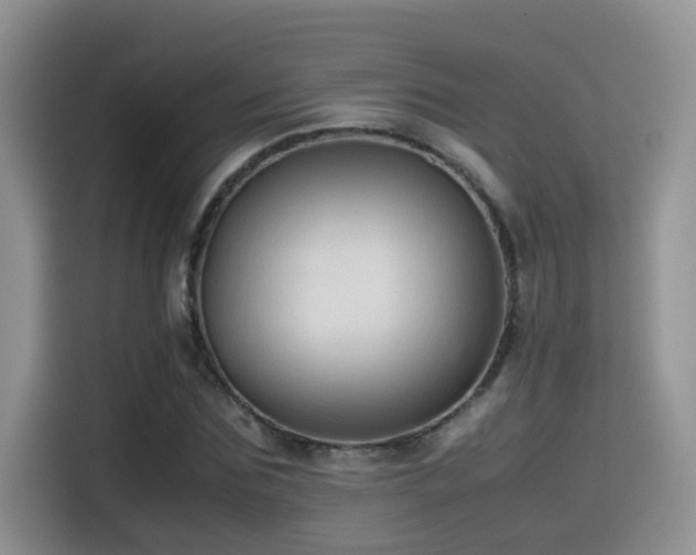 X0000115540875200911061458