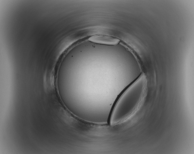 X0000115540877200911061458