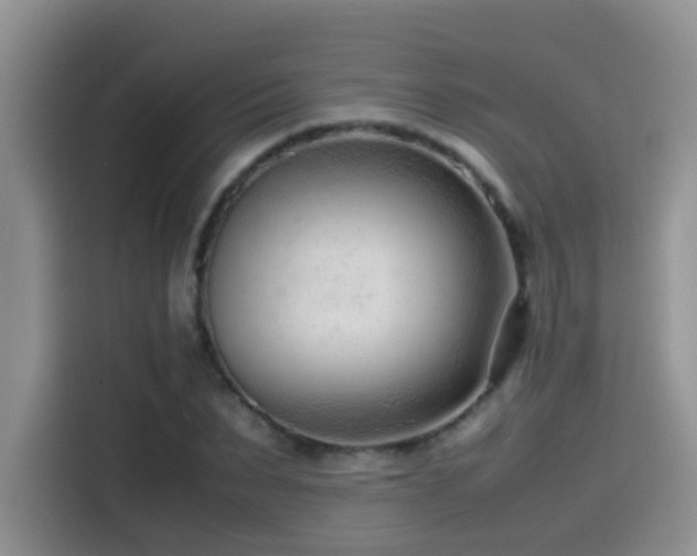 X0000115540879200911061458