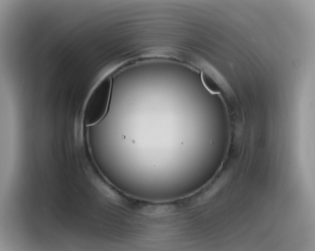 X0000115540884200911061458