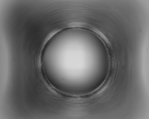 X0000115540885200911061458