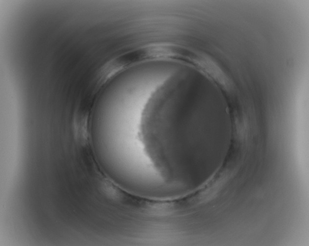 X0000115540889200911061458