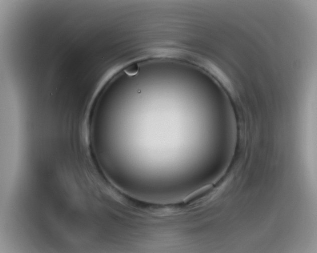 X0000115540891200911061458