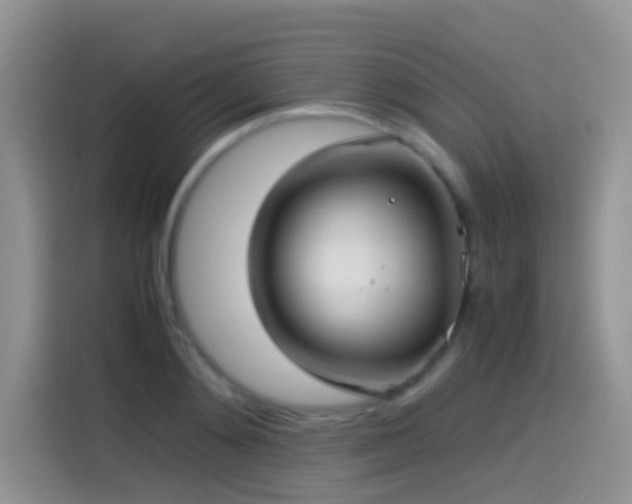 X0000115540892200911061458