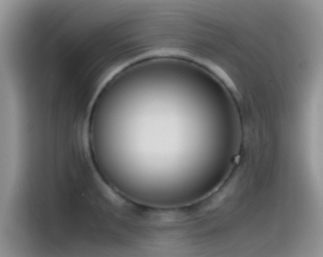 X0000115540895200911061458