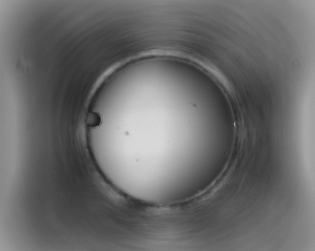 X0000115540896200911061458