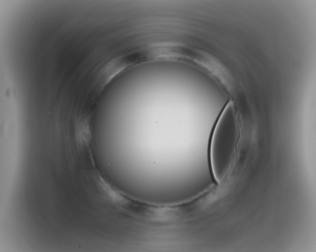 X0000115540897200911061458