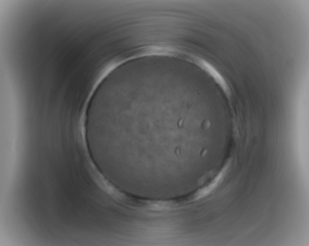 X0000115540899200911061458