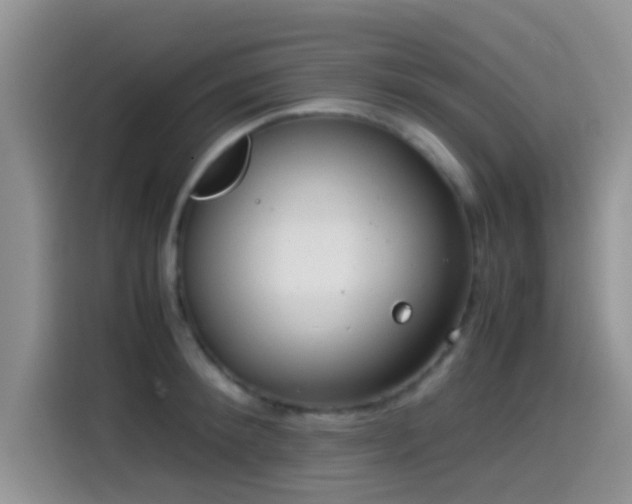 X0000115540900200911061458