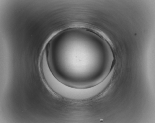 X0000115540901200911061458