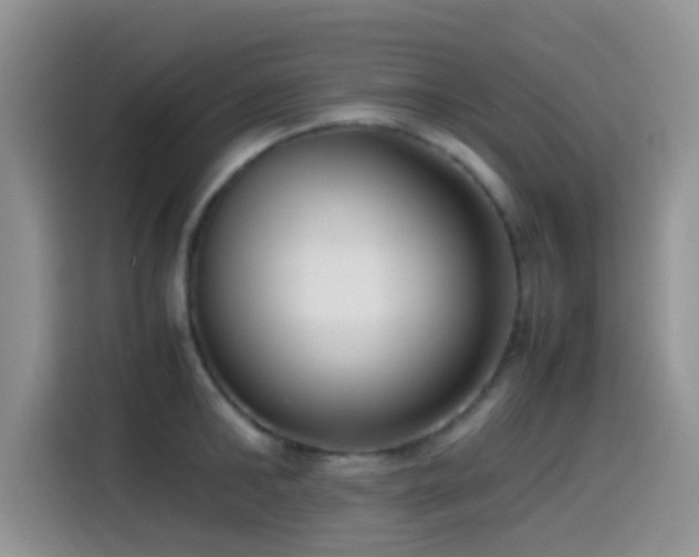 X0000115540902200911061458