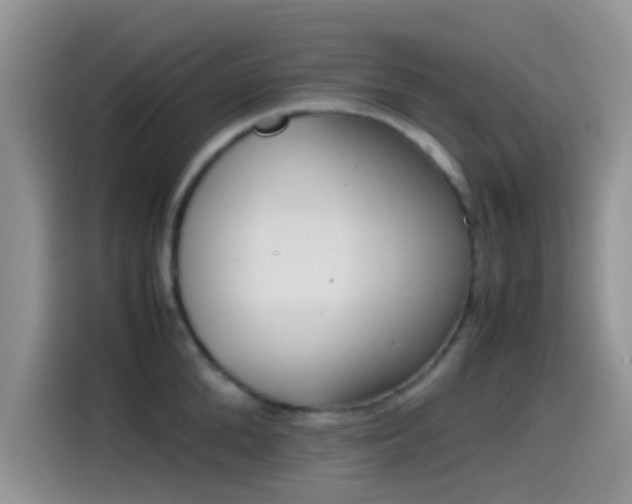 X0000115540904200911061458