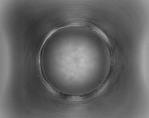 X0000115540907200911061458