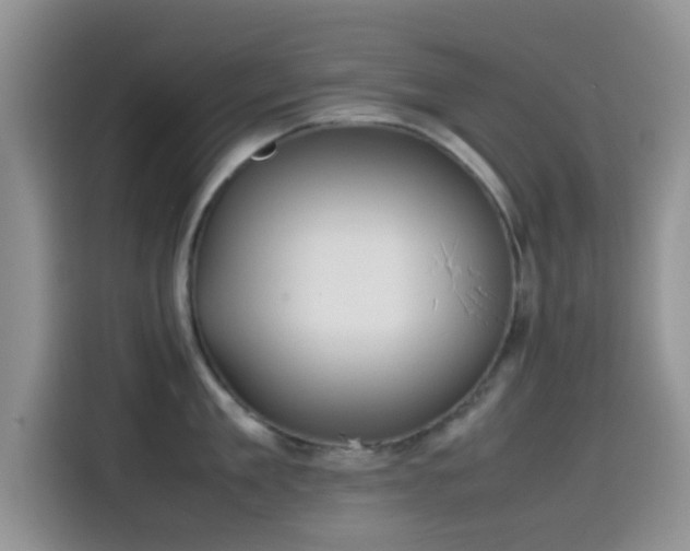 X0000115540909200911061458