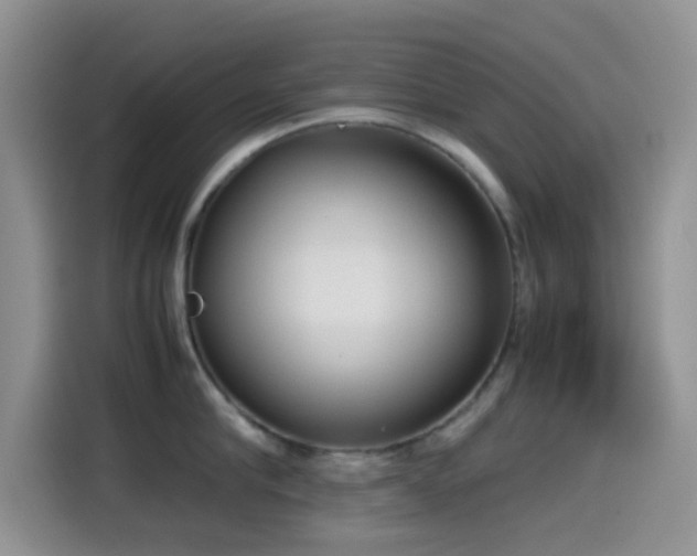 X0000115540910200911061458