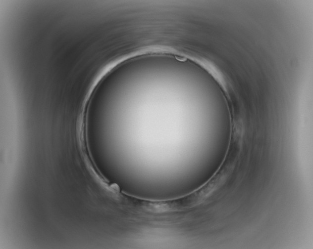 X0000115540911200911061457