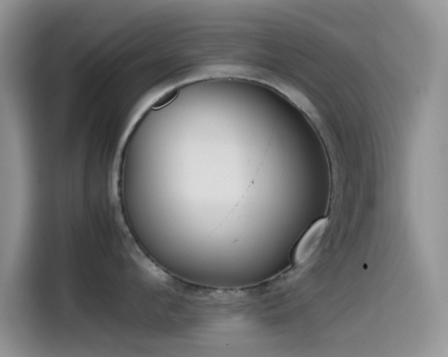 X0000115540912200911061457