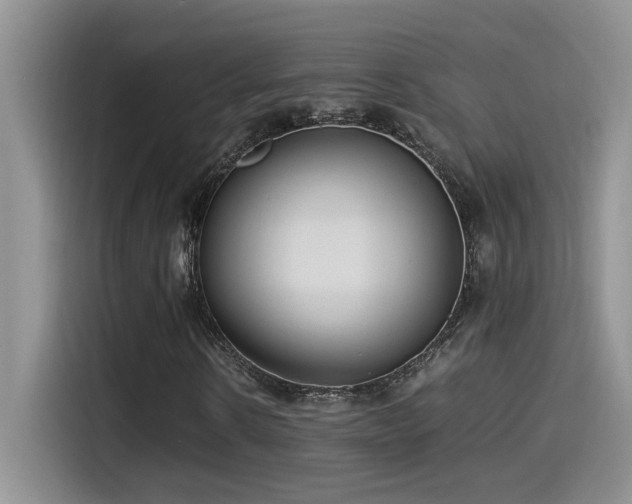 X0000115540914200911061457