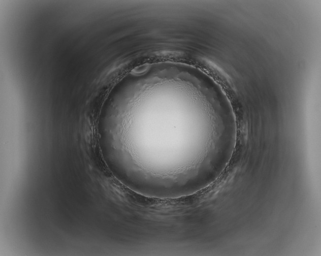 X0000115540917200911061457