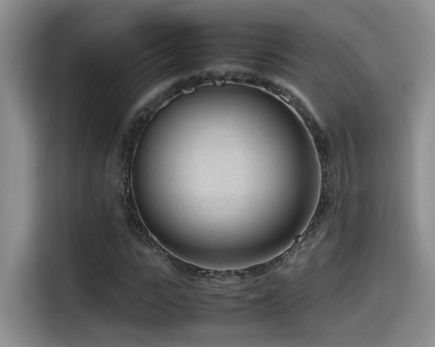 X0000115540919200911061457