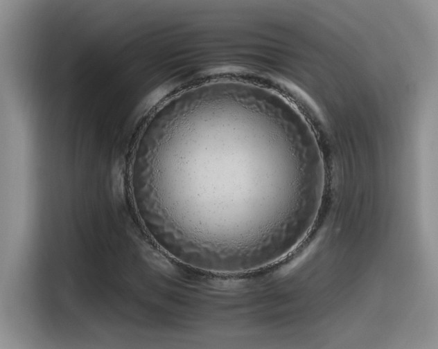 X0000115540921200911061457