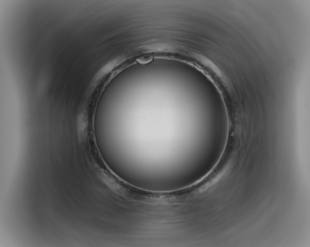 X0000115540922200911061457