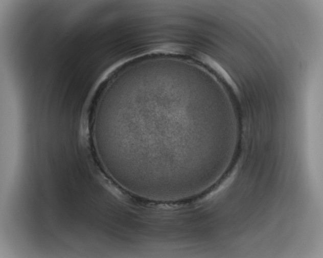 X0000115540923200911061457